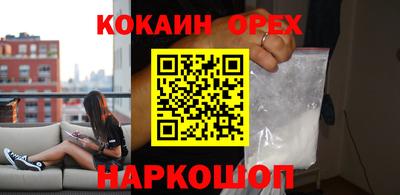apvp Бийск