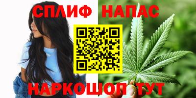 apvp Бийск