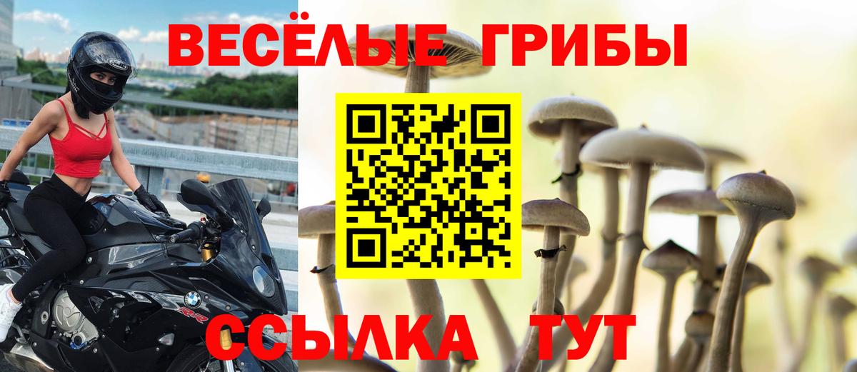 Галлюциногенные грибы MAGIC MUSHROOMS  Вход с VPN  Кандалакша  Галлюциногенные грибы Psilocybe 