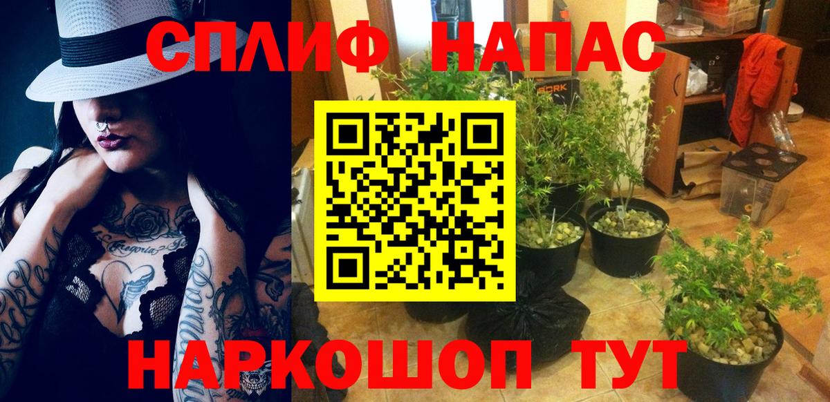 Бошки Шишки VHQ Кандалакша